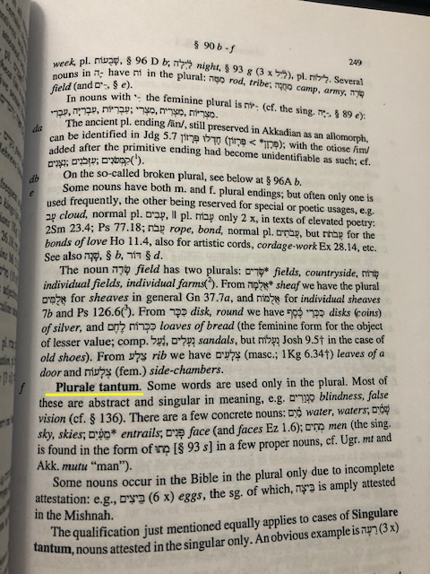 Photo of page from Hebrew textbook showing explanation of plurale tantum