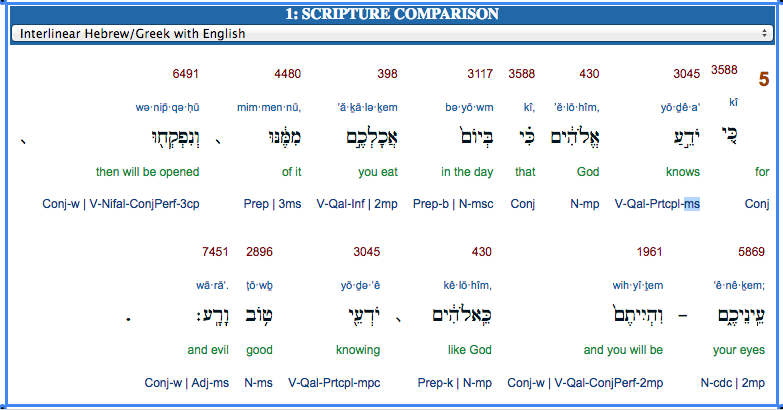 Screenshot of Genesis 3:5 in Interlinear Bible showing Hebrew grammatical notations